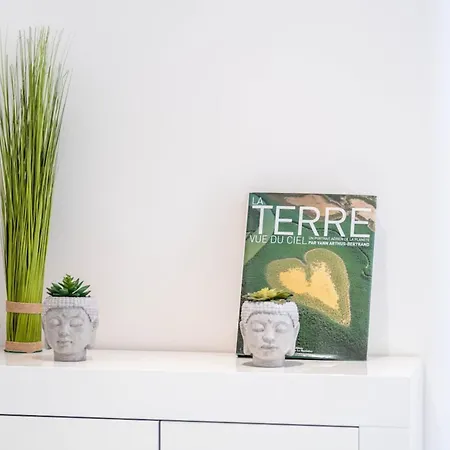 Le Paradis Hoche - Centre - Terrace - Quiet - Ac Apartment *